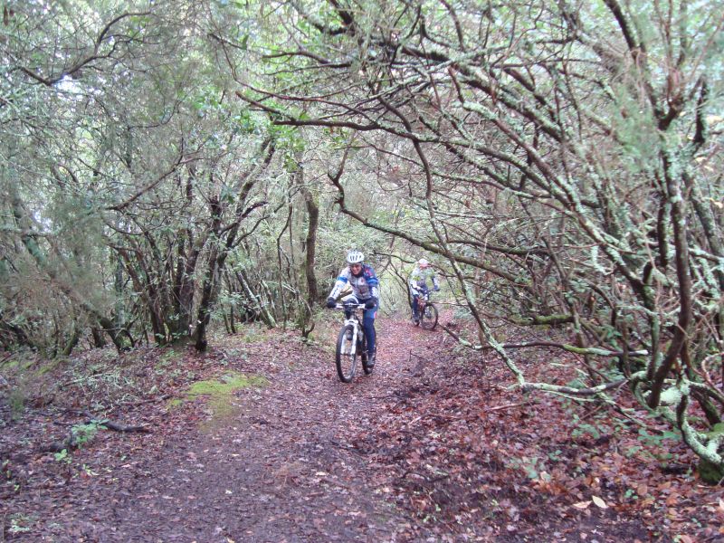 gal/2010/12 - Autunno Inverno 2010 - Le escursioni in MTB/Torre di Crevole/pianelli-crevole.JPG